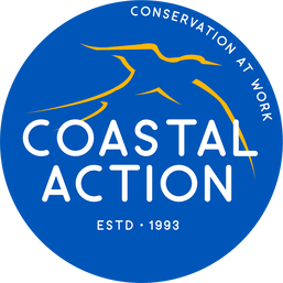 coastal-action